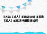 汪苏泷《某人》的歌词介绍 汪苏泷《某人》的歌词详细情况如何