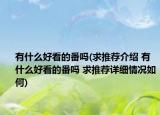 有什么好看的番吗(求推荐介绍 有什么好看的番吗 求推荐详细情况如何)