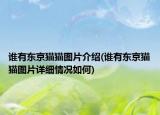 谁有东京猫猫图片介绍(谁有东京猫猫图片详细情况如何)