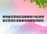 贵州省交警总队违章查询介绍(贵州省交警总队违章查询详细情况如何)