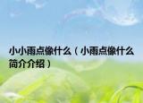 小小雨点像什么（小雨点像什么简介介绍）