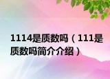 1114是质数吗（111是质数吗简介介绍）