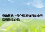 查询移动小号介绍(查询移动小号详细情况如何)