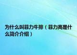 为什么叫菲力牛排（菲力高是什么简介介绍）