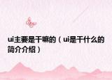 ui主要是干嘛的（ui是干什么的简介介绍）