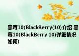黑莓10(BlackBerry(10)介绍 黑莓10(BlackBerry 10)详细情况如何)