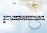 寻找一个大陆团伙偷渡香港抢劫的电影介绍(寻找一个大陆团伙偷渡香港抢劫的电影详细情况如何)