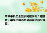 苹果手机怎么显示网速简介介绍图片（苹果手机怎么显示网速简介介绍）