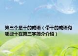 第三个是十的成语（带十的成语有哪些十在第三字简介介绍）