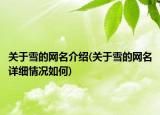 关于雪的网名介绍(关于雪的网名详细情况如何)