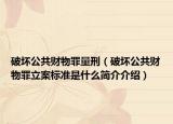 破坏公共财物罪量刑（破坏公共财物罪立案标准是什么简介介绍）