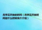 月季花开放的时间（月季花开放时间是什么时候简介介绍）
