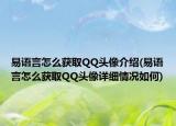易语言怎么获取QQ头像介绍(易语言怎么获取QQ头像详细情况如何)