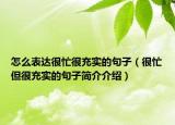 怎么表达很忙很充实的句子（很忙但很充实的句子简介介绍）
