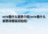 sole是什么意思介绍(sole是什么意思详细情况如何)