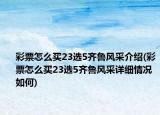 彩票怎么买23选5齐鲁风采介绍(彩票怎么买23选5齐鲁风采详细情况如何)