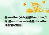 是another(side还是the other介绍 是another side还是the other详细情况如何)