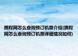 携程网怎么查询预订机票介绍(携程网怎么查询预订机票详细情况如何)