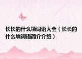 长长的什么填词语大全（长长的什么填词语简介介绍）
