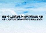 英语中什么是系动词(为什么叫系动词介绍 英语中什么是系动词 为什么叫系动词详细情况如何)