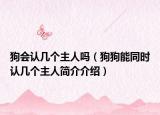 狗会认几个主人吗（狗狗能同时认几个主人简介介绍）