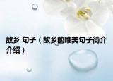故乡 句子（故乡的唯美句子简介介绍）