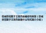 臣诚恐见欺于王而负赵被动句类型（臣诚恐见欺于王而负赵是什么句式简介介绍）