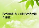 六字简短好句（好句六字大全简介介绍）