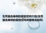 生死狙击身树的爱拍空间介绍(生死狙击身树的爱拍空间详细情况如何)