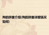 拘的拼音介绍(拘的拼音详细情况如何)