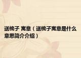 送梳子 寓意（送梳子寓意是什么意思简介介绍）