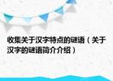 收集关于汉字特点的谜语（关于汉字的谜语简介介绍）