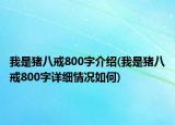 我是猪八戒800字介绍(我是猪八戒800字详细情况如何)