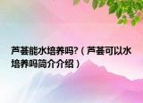 芦荟能水培养吗?（芦荟可以水培养吗简介介绍）