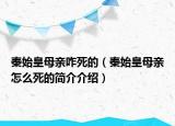 秦始皇母亲咋死的（秦始皇母亲怎么死的简介介绍）