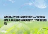 表格输入姓名自动转换拼音\