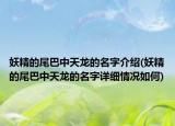 妖精的尾巴中天龙的名字介绍(妖精的尾巴中天龙的名字详细情况如何)