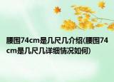 腰围74cm是几尺几介绍(腰围74cm是几尺几详细情况如何)