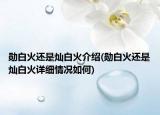 勋白火还是灿白火介绍(勋白火还是灿白火详细情况如何)