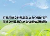 打开压缩文件乱码怎么办介绍(打开压缩文件乱码怎么办详细情况如何)