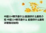 中国114黄页是什么(能提供什么服务介绍 中国114黄页是什么 能提供什么服务详细情况如何)