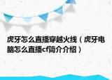 虎牙怎么直播穿越火线（虎牙电脑怎么直播cf简介介绍）