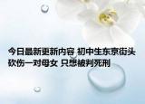 今日最新更新内容 初中生东京街头砍伤一对母女 只想被判死刑