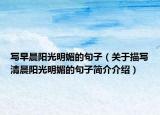 写早晨阳光明媚的句子（关于描写清晨阳光明媚的句子简介介绍）