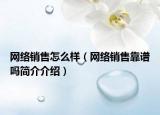 网络销售怎么样（网络销售靠谱吗简介介绍）