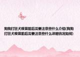 狗狗打狂犬疫苗前后需要注意些什么介绍(狗狗打狂犬疫苗前后需要注意些什么详细情况如何)