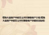 植物大战僵尸中的怎么对付蹦极僵尸介绍(植物大战僵尸中的怎么对付蹦极僵尸详细情况如何)