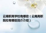云南职高学校有哪些（云南高职院校有哪些简介介绍）