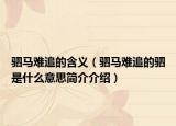 驷马难追的含义（驷马难追的驷是什么意思简介介绍）