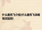 什么是死飞介绍(什么是死飞详细情况如何)